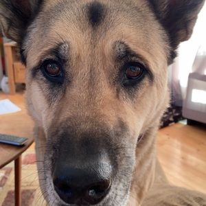 Meet your Posher, Mackenzie